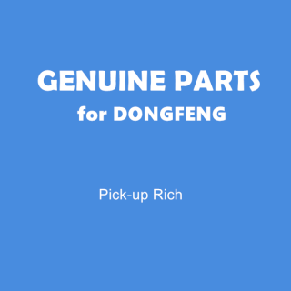DONGFENG PICKUP RICH FULL CAR PARTS GENUINE