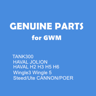 GWM HAVAL H2 H3 H5 H6 JOLION SUV CANNON POER FULL PARTS GENUINE